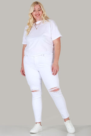 Plus Size Skinny Destroyed Jeans