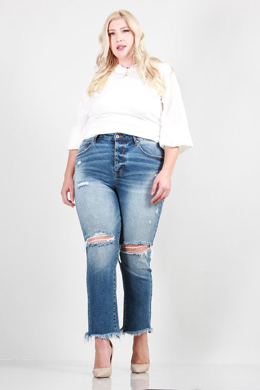 Plus Size High Rise Relaxed Skinny Jeans